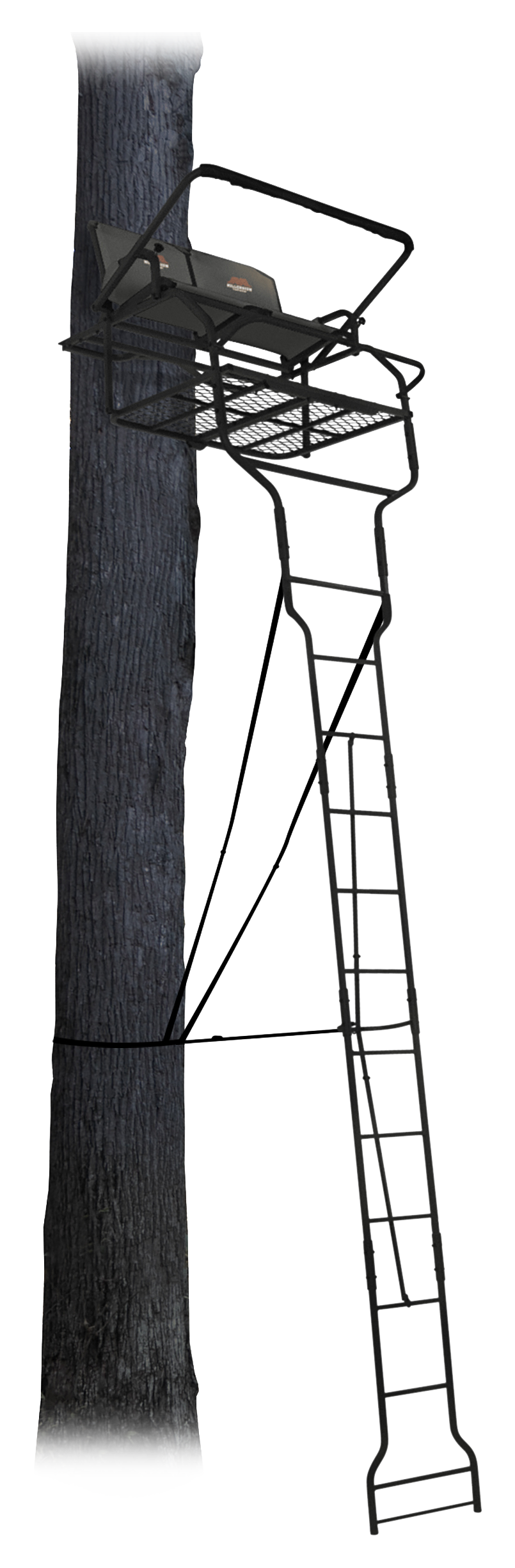 Millennium Treestands L205 2Person Ladder Stand Bass Pro Shops
